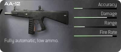 http://www.themodernwarfare2.com/images/mw2/weapons/aa-12-prev.jpg