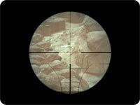 M21 EBR Scope