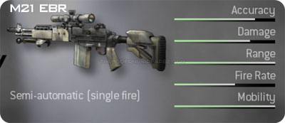 http://www.themodernwarfare2.com/images/mw2/weapons/m21-ebr-prev.jpg