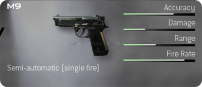 http://www.themodernwarfare2.com/images/mw2/weapons/m9-prev.jpg