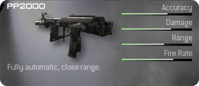 http://www.themodernwarfare2.com/images/mw2/weapons/pp2000-prev.jpg